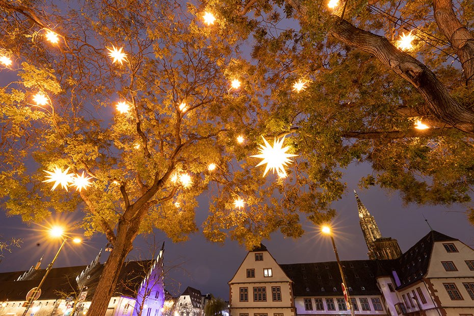 Explorer Strasbourg à Noël en petit train électrique - Noël à Strasbourg