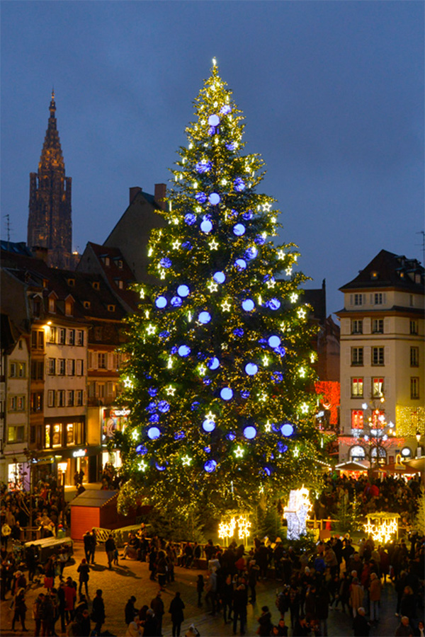 Sapin Noël Strasbourg