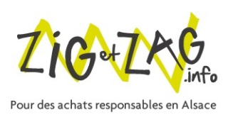 ZIGetZAG.info logo